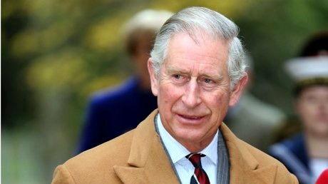 英国查尔斯爆料视频大全,揭秘王室不为人知的秘密