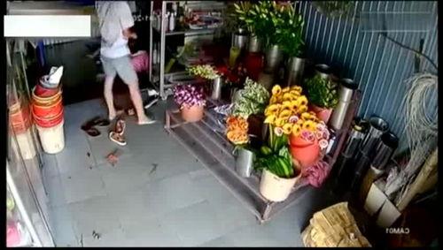 花店老板叶女士爆料视频,一场关于鲜花与情感的独特邂逅 第1张 花店老板叶女士爆料视频,一场关于鲜花与情感的独特邂逅 第1张